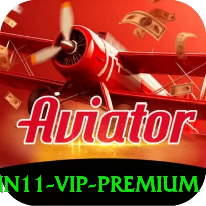 nn11 - VIP Premium - pk