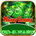 pgyes Pro Rewards