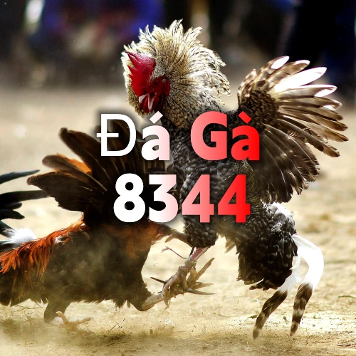 vn88 - Boss thế giới